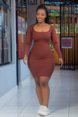 Brown Dora 2 in 1 Long Sleeve Mini Dress