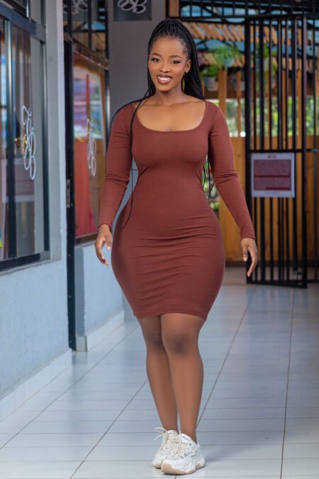 Brown Dora 2 in 1 Long Sleeve Mini Dress